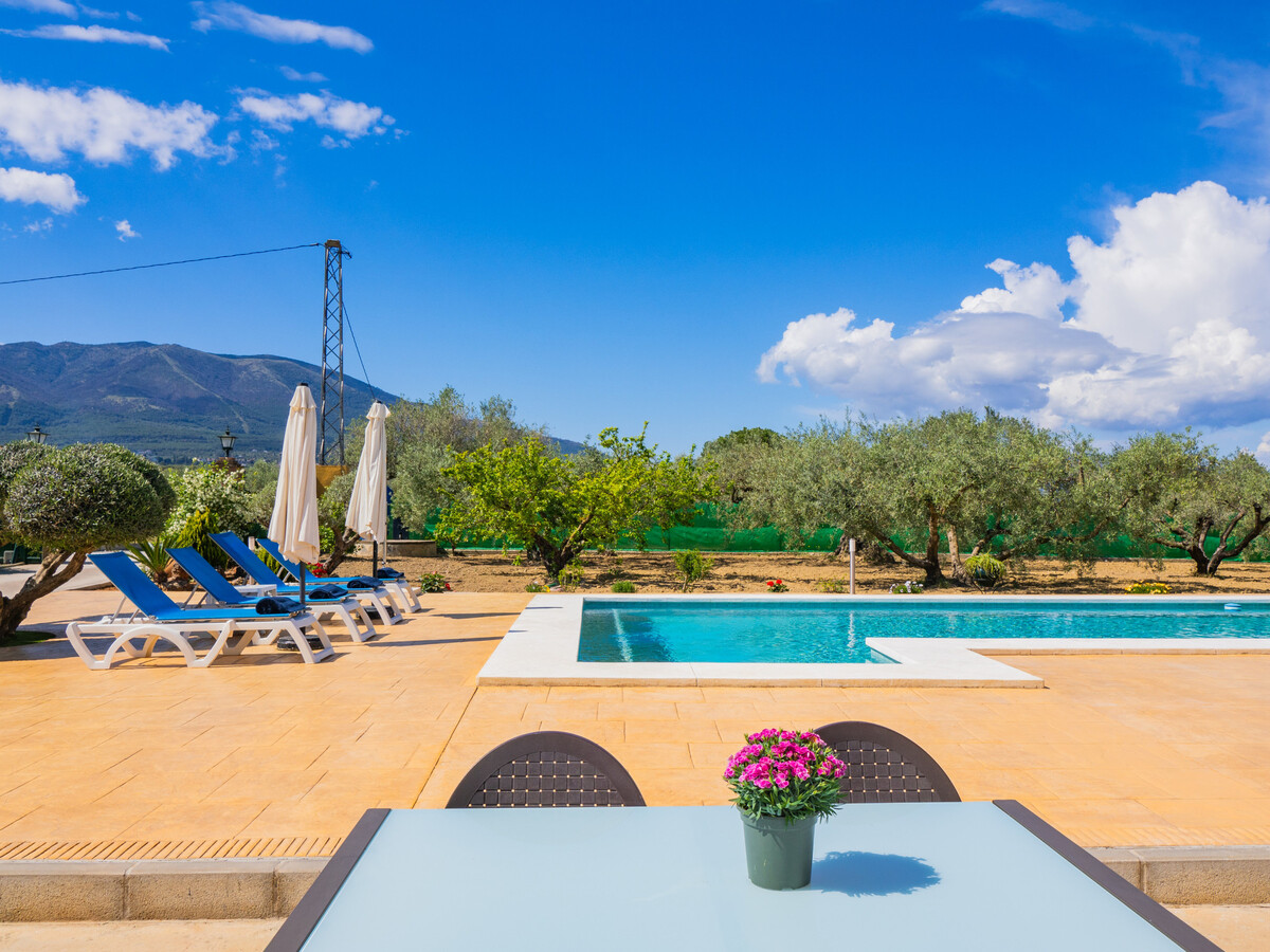 Gîte 6 pers. avec piscine privée 4,5x9m à Alhaurín el Grande - Photo 14