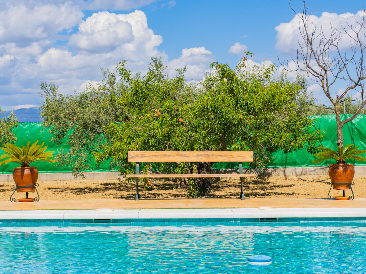 Gîte 6 pers. avec piscine privée 4,5x9m à Alhaurín el Grande - Photo 16