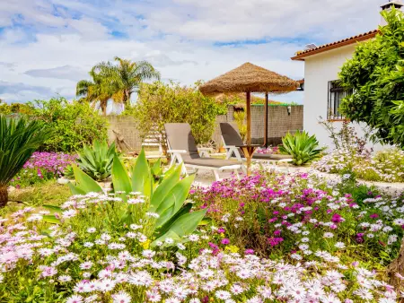 Finca Pati : gîte rural 6 pers. avec piscine privée : photo 3