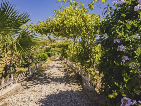 Gîte Rural Malaga pour 12 Pers. avec Piscine Privée - Photo 12
