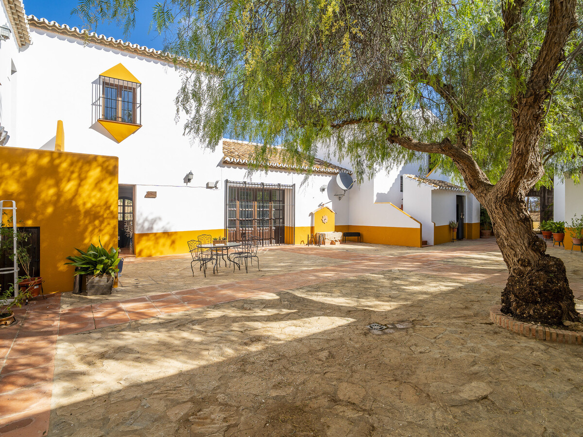 Cortijo andalou Teba : 2 maisons, 15 pers., piscine - Photo 6