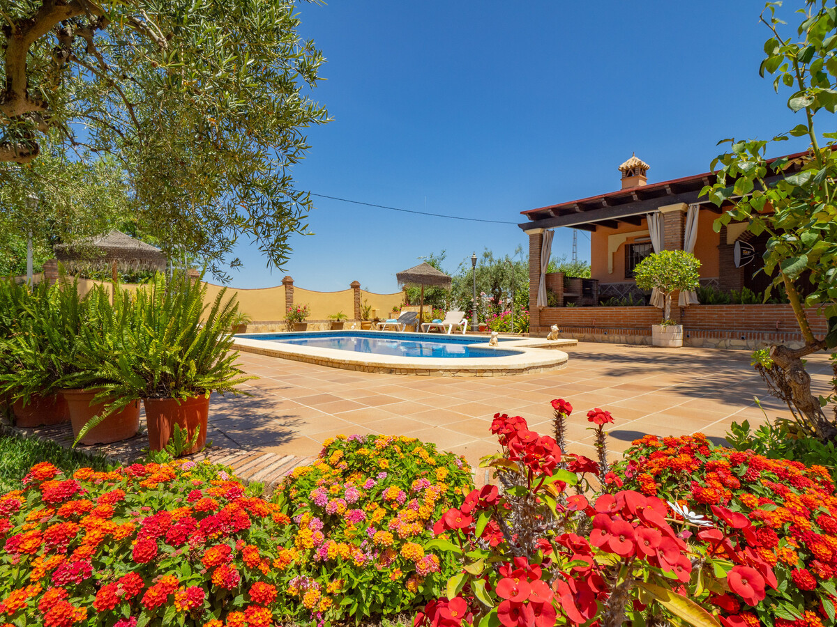 Gîte 6 pers. piscine privée à Alhaurín el Grande - Photo 3