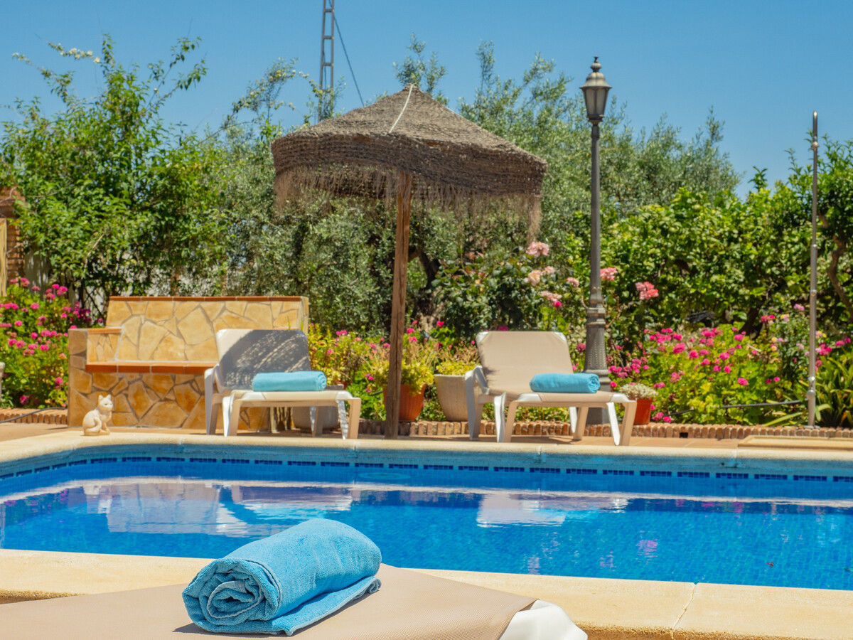 Gîte 6 pers. piscine privée à Alhaurín el Grande - Photo 15