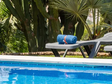 Finca Los Dragos : gîte Sierra Mijas, piscine 9x5m : photo 14