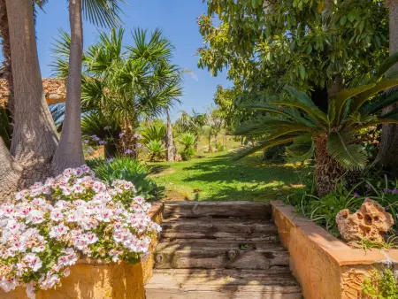 Finca Los Dragos : gîte Sierra Mijas, piscine 9x5m : photo 17