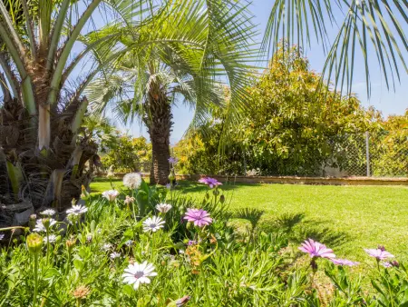 Finca Los Dragos : gîte Sierra Mijas, piscine 9x5m : photo 18