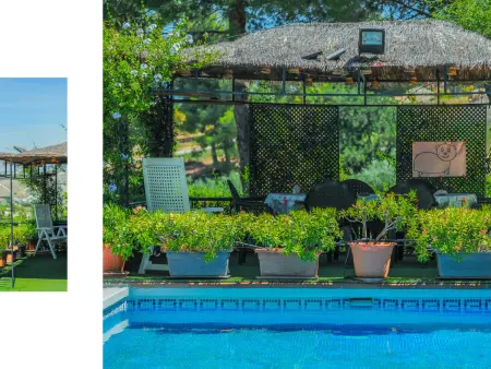 Maison en bois avec piscine 7x4m à Alhaurín el Grande : photo 5