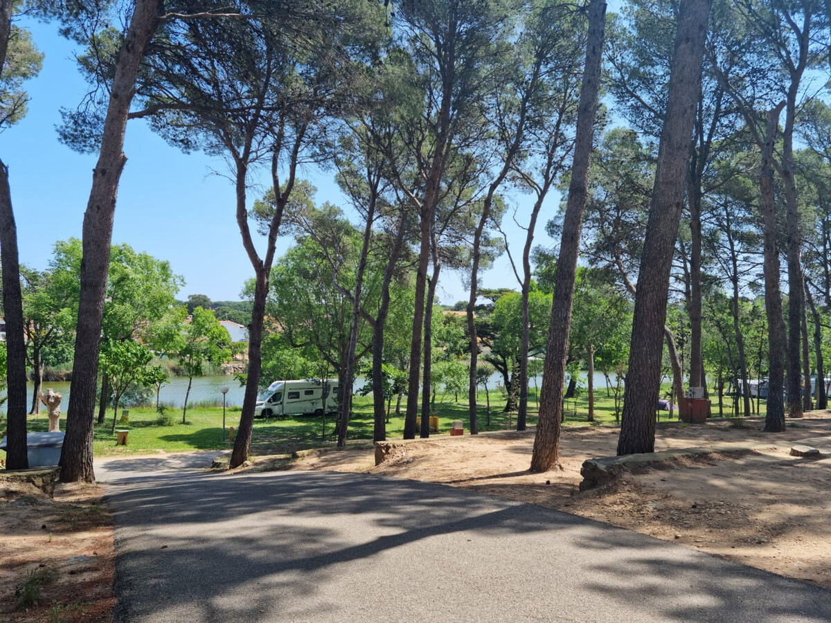 Bungalow 2 chambres au Camping Lacus, 100 m de la plage - Photo 24