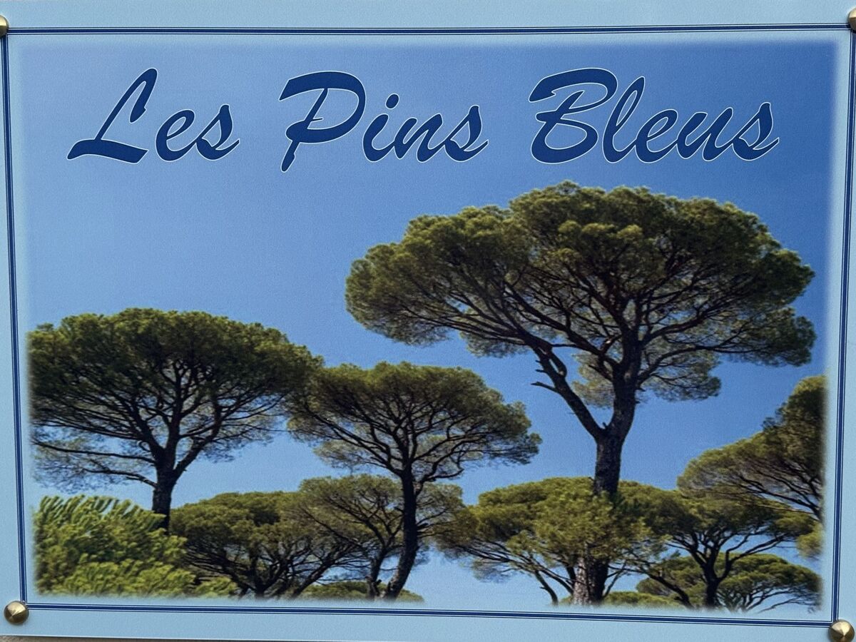 Les Pins Bleus App.02 - Apt 2 ch, terrasse, piscine - Photo 33