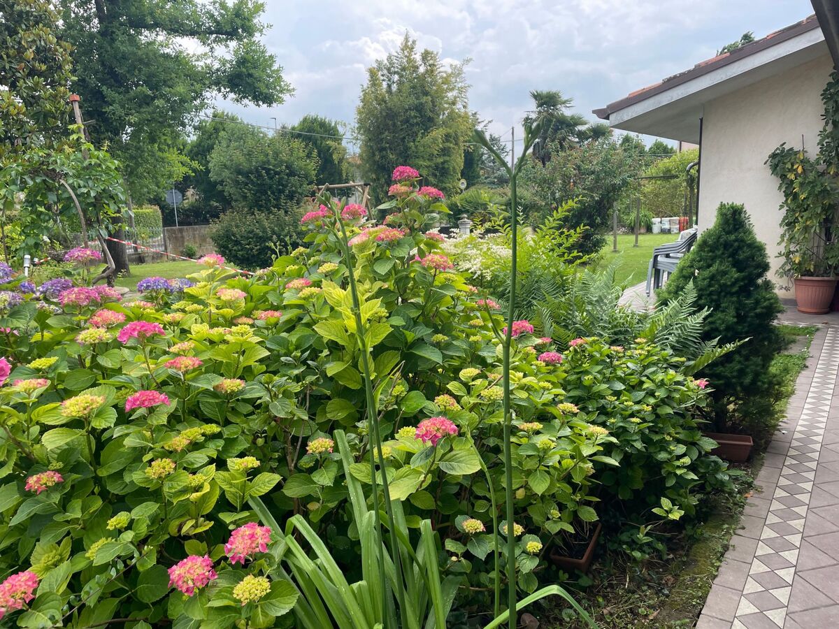 Casa della Nonna, appartement 6 pers. avec jardin à Noventa di Piave - Photo 17