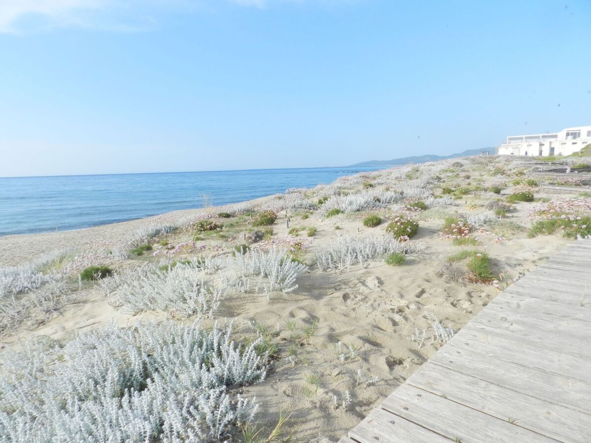 Villa Rosa - Maison 6 pers. à 300 m de la plage - Photo 25