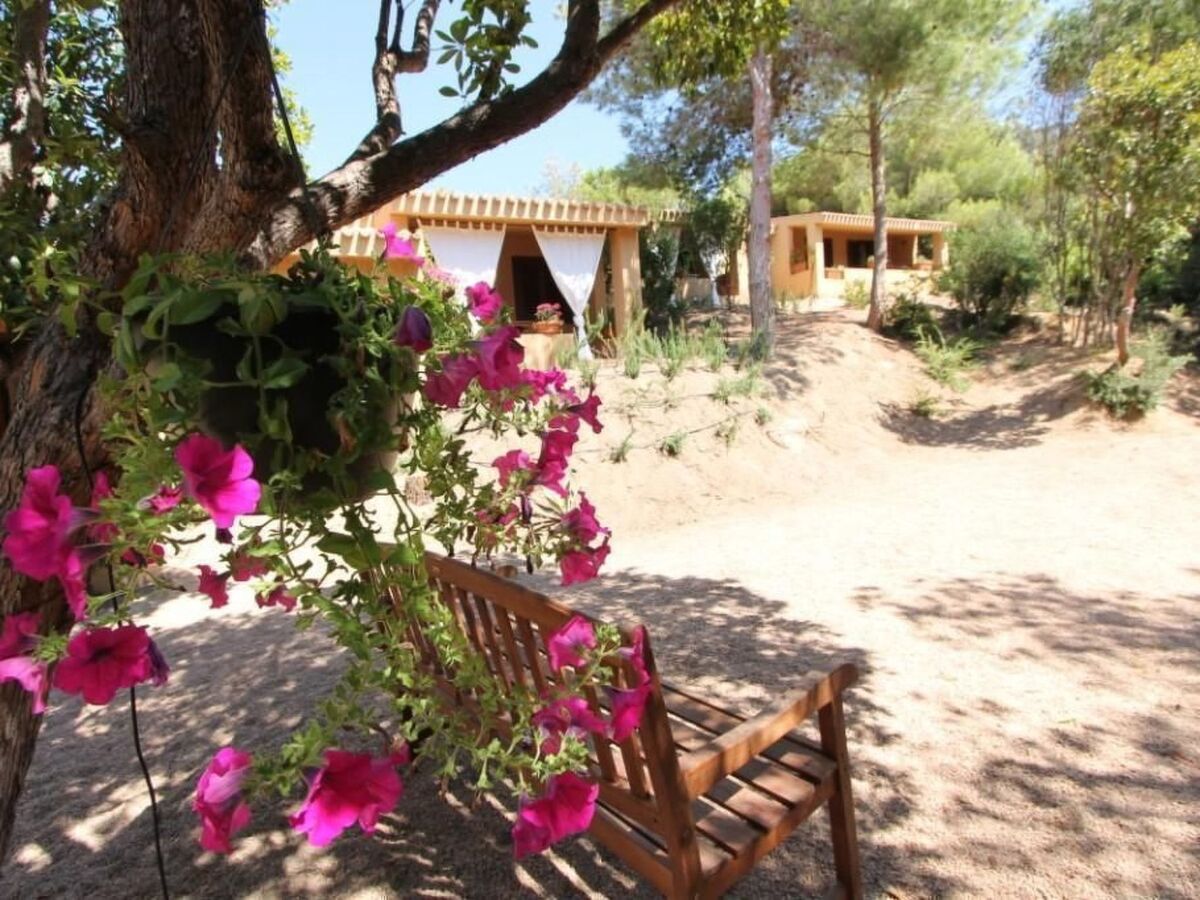 Appartement Rosa 3 avec terrasse à Costa Paradiso - Photo 1