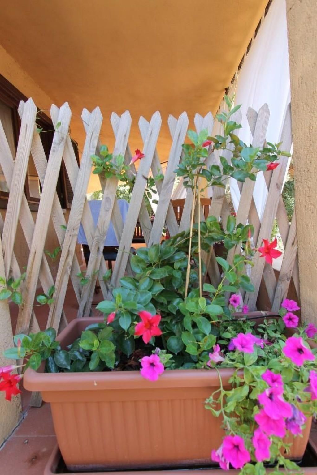 Appartement Rosa 3 avec terrasse à Costa Paradiso - Photo 30
