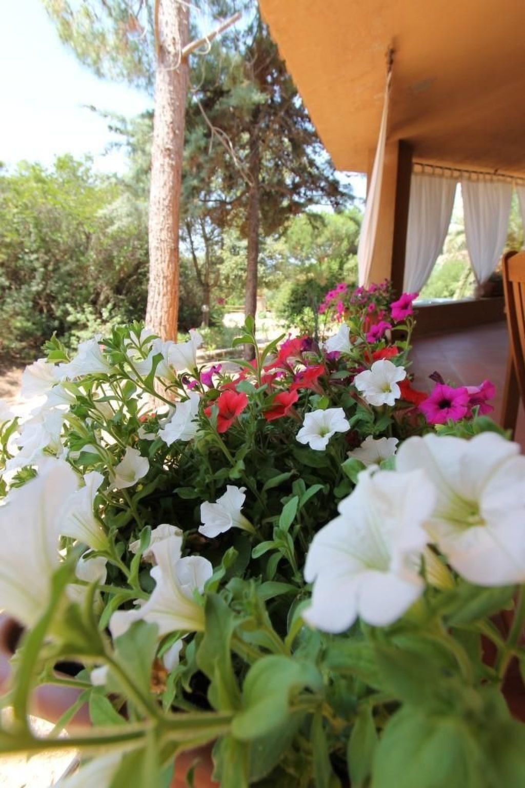 Appartement Rosa 3 avec terrasse à Costa Paradiso - Photo 31