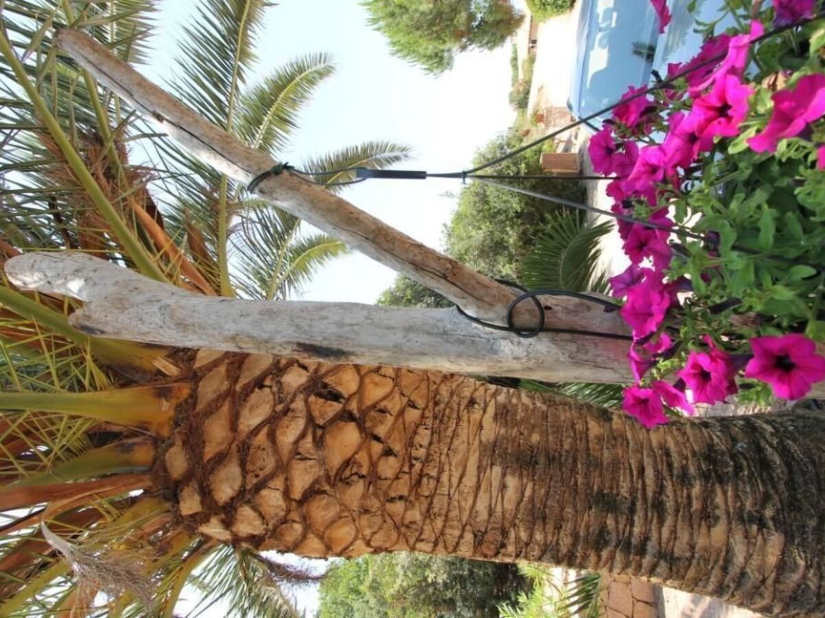 Appartement Rosa 3 avec terrasse à Costa Paradiso - Photo 32
