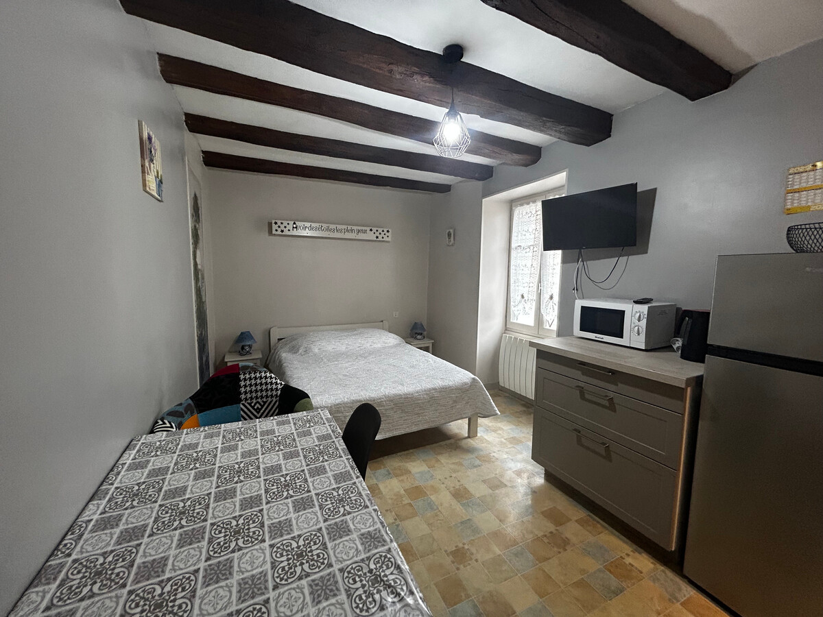 Studio centre La Roche-Posay, 15 min des Thermes - Photo 2