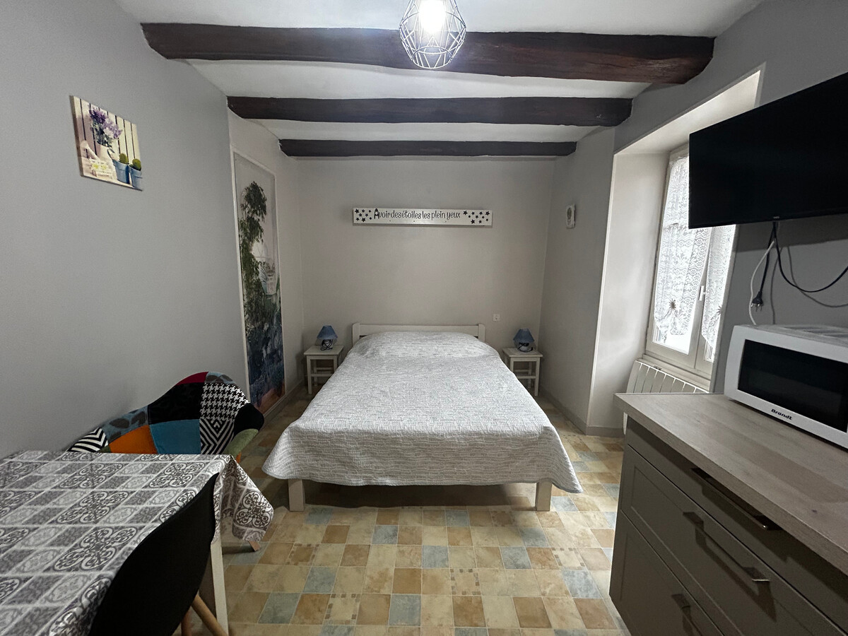 Studio centre La Roche-Posay, 15 min des Thermes - Photo 3