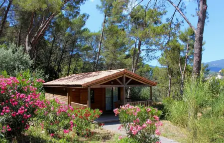 Location maison à Solliès Toucas