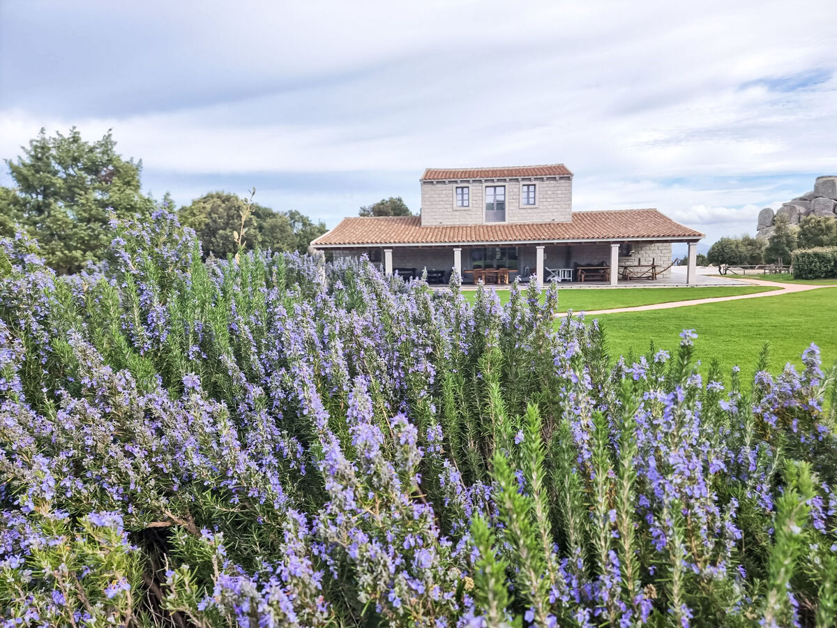 La Stalla – Gîte rustique 6 pers. en Gallura - Photo 34