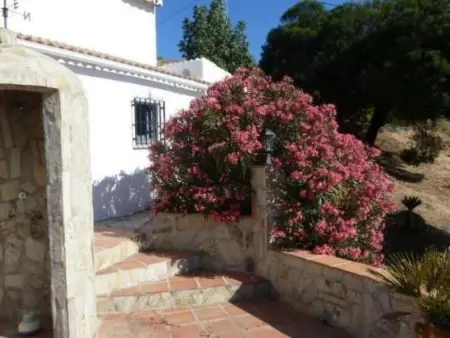 Finca La Estrella de Cómpeta – 3 chambres, piscine privée : photo 3