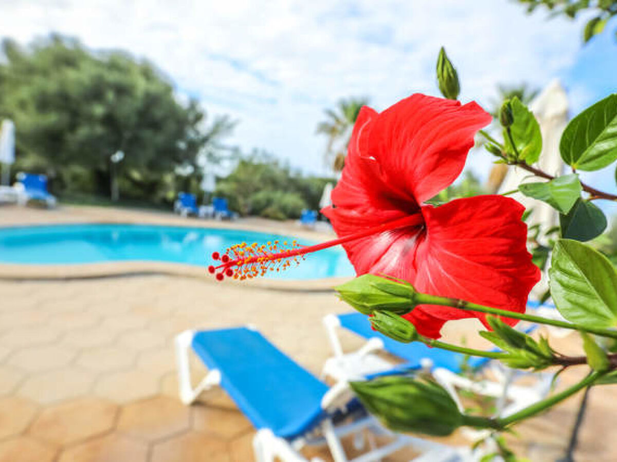 Granada – Maison 6 chambres avec piscine privée, Llucmajor - Photo 46