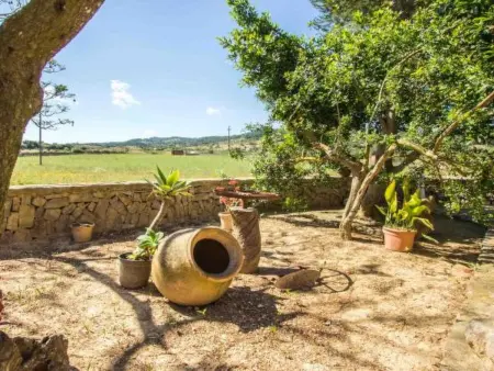 Maison Manenta : 4 chambres, piscine et charme mallorquin : photo 2