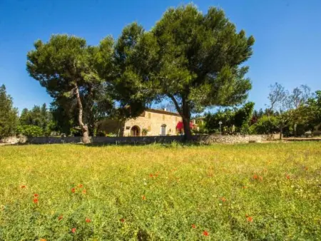 Maison Manenta : 4 chambres, piscine et charme mallorquin : photo 15