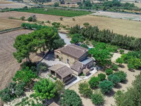 Maison Manenta : 4 chambres, piscine et charme mallorquin : photo 30