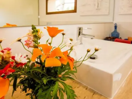 Maison Manenta : 4 chambres, piscine et charme mallorquin : photo 35