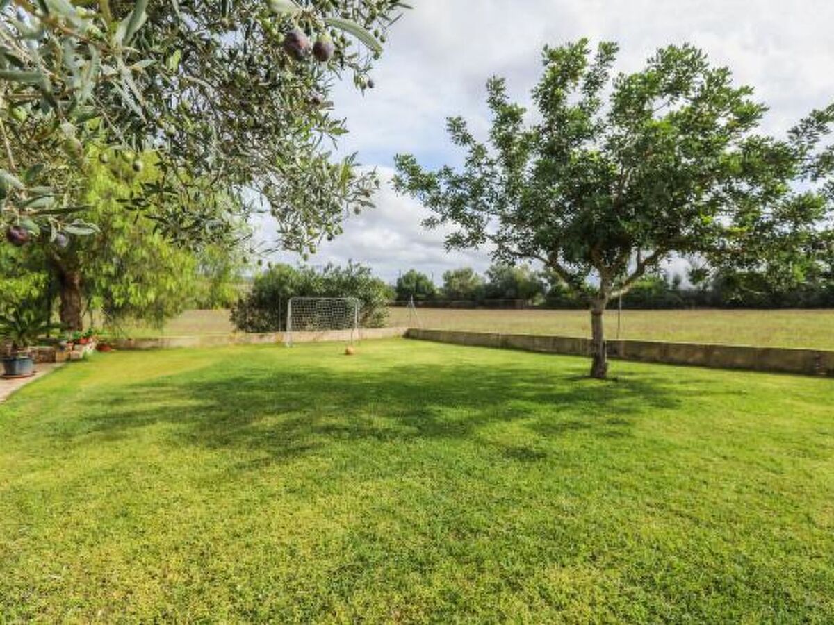 Maison Cogol à Manacor avec piscine et 4 chambres - Photo 15