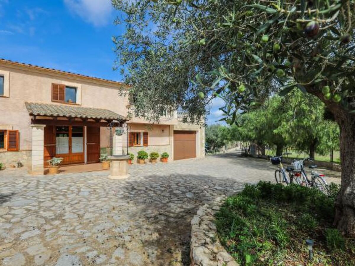Maison Cogol à Manacor avec piscine et 4 chambres - Photo 40