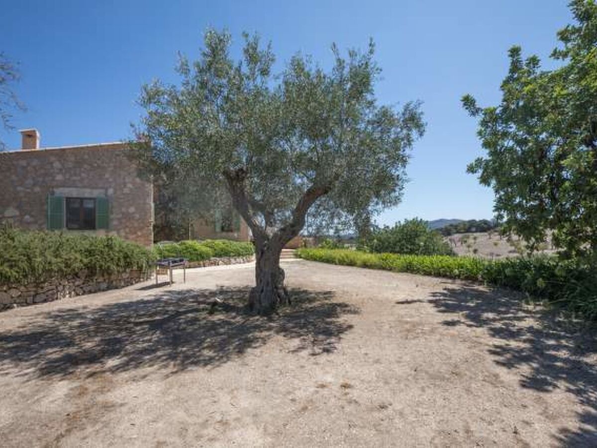 Maison Calma à Sant Llorenç, piscine privée - Photo 18