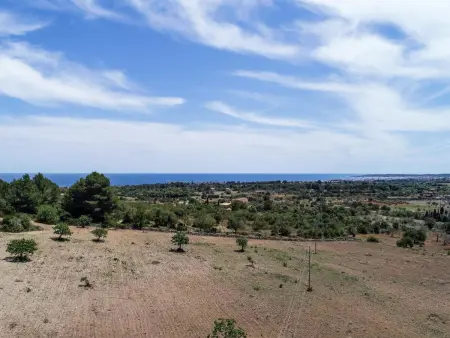 Maison Almendras entre amandiers, Son Servera : photo 5