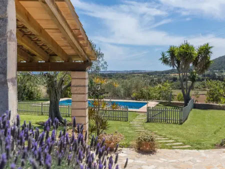 Maison Almendras entre amandiers, Son Servera : photo 15