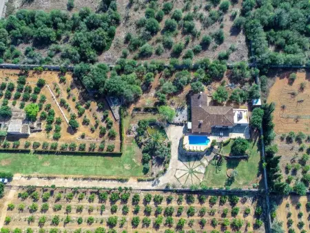 Maison Blaypetit avec piscine à Muro : photo 8