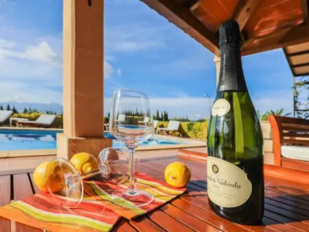 Maison Blaypetit avec piscine à Muro : photo 28