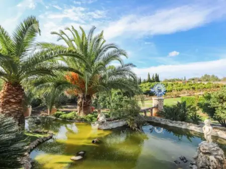 Maison Blaypetit avec piscine à Muro : photo 45