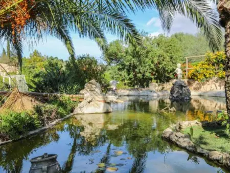Maison Blaypetit avec piscine à Muro : photo 46