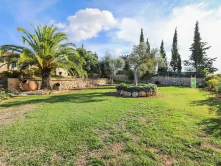 Maison Blaypetit avec piscine à Muro : photo 47