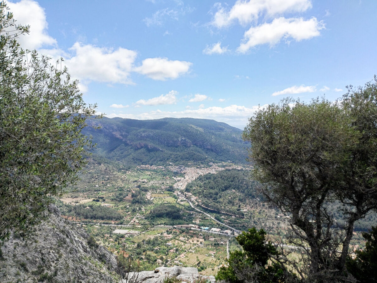 Caballeria 12 – Maison 6 chambres, Bunyola - Photo 40