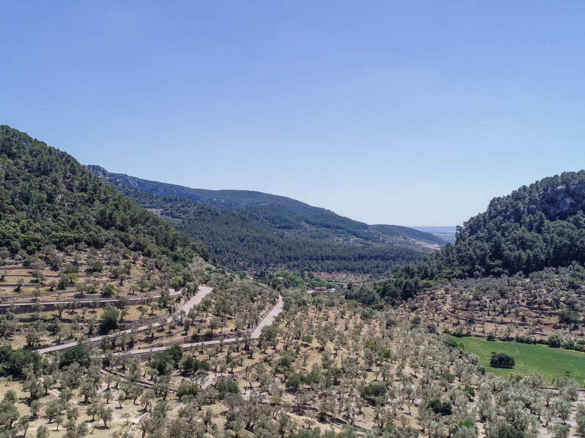 Caballeria 16 – Maison de groupe avec piscine à Bunyola - Photo 76