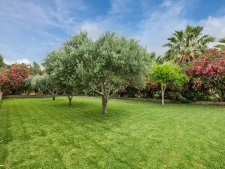 Maison de campagne avec piscine et tennis privés à Búger, Majorque : photo 16