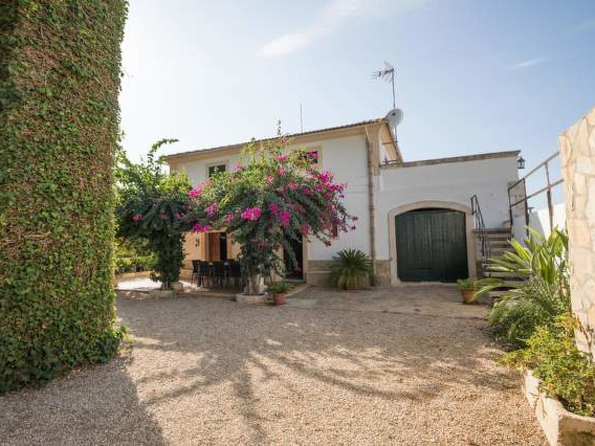 Manyo Grand – Maison rurale 4 chambres à Sa Pobla - Photo 16