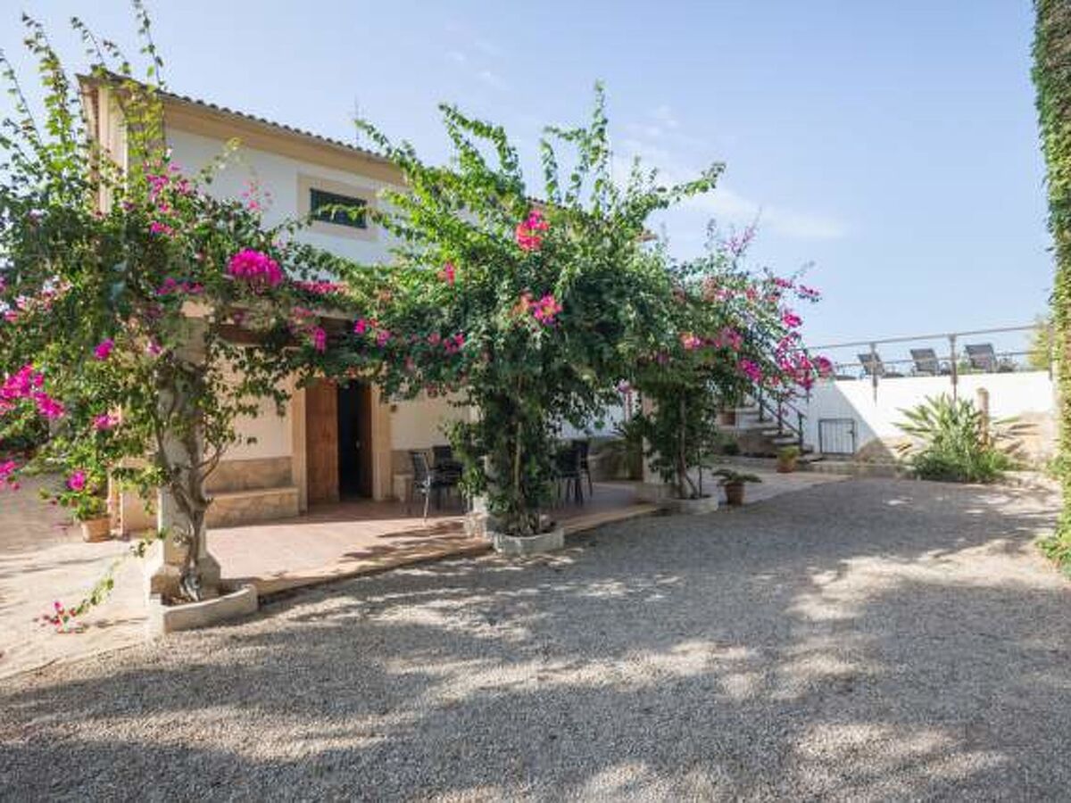Manyo Grand – Maison rurale 4 chambres à Sa Pobla - Photo 18