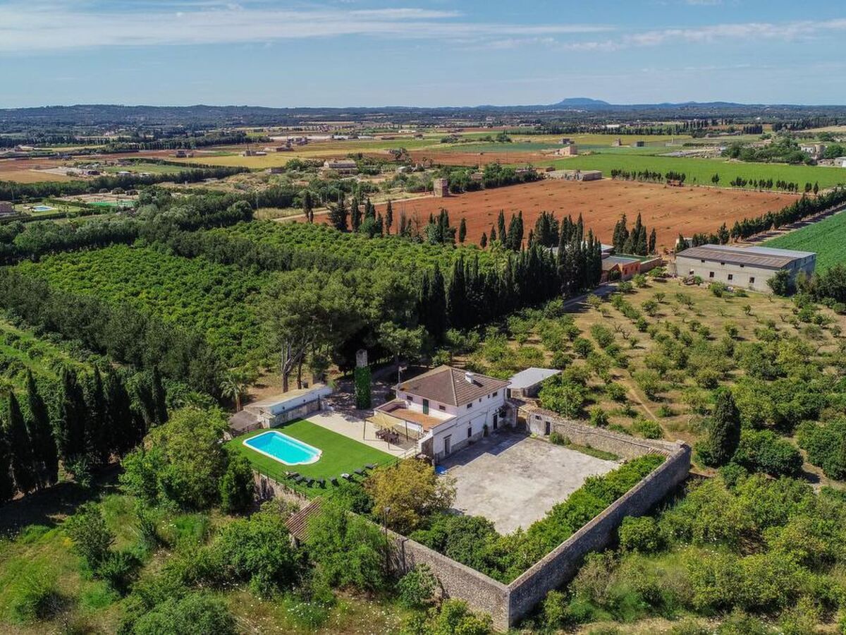 Manyo Grand – Maison rurale 4 chambres à Sa Pobla - Photo 25