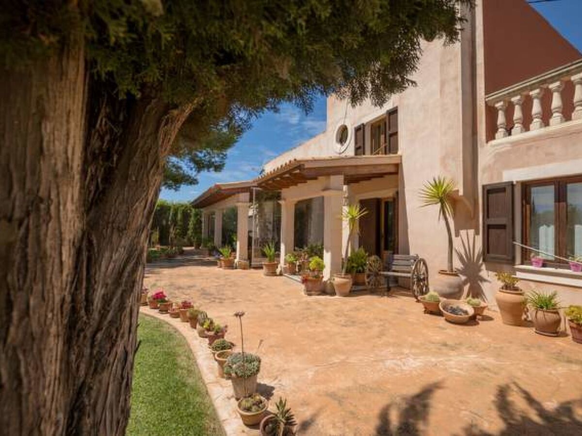 Maison San Vicente avec piscine et jardin à Sa Pobla - Photo 17