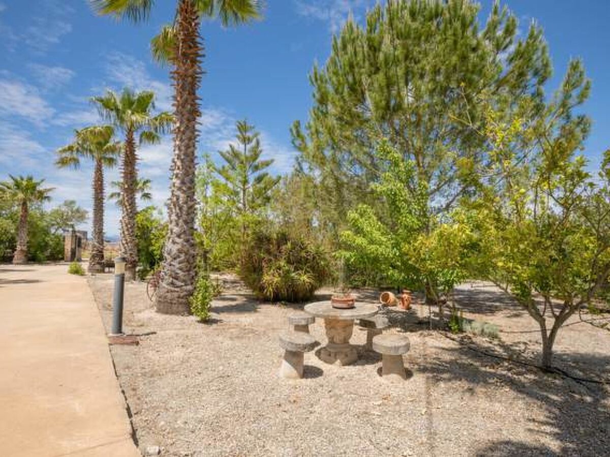 Maison San Vicente avec piscine et jardin à Sa Pobla - Photo 23