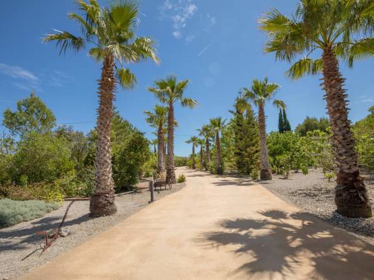 Maison San Vicente avec piscine et jardin à Sa Pobla - Photo 26