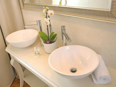 Villa Benvenuti à Motovun, piscine privée et jardin : photo 28