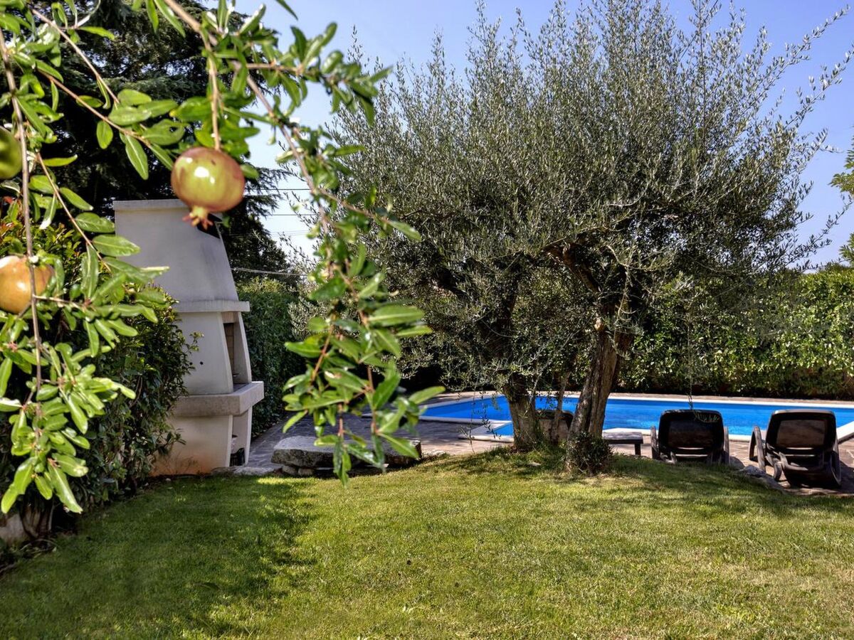 Maison House 1808 à Dracevac, 120 m², piscine privée - Photo 3